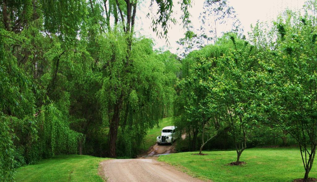 Cedars Mount View (Adults Only) Villa Bagian luar foto